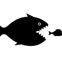 Deal Dive: Is Venture Debt Effective for Asset Managers?