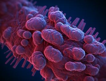 Superbug
