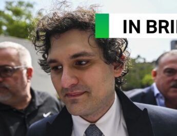 sbf in brief